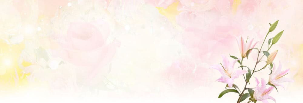 �������G�b�`�����������������Z�b�N�X�ł��鏗���A�v���ŒT�����@